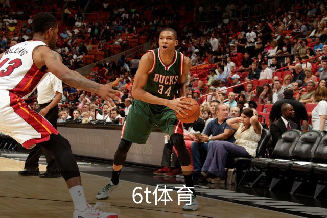 6t体育公司简介图片